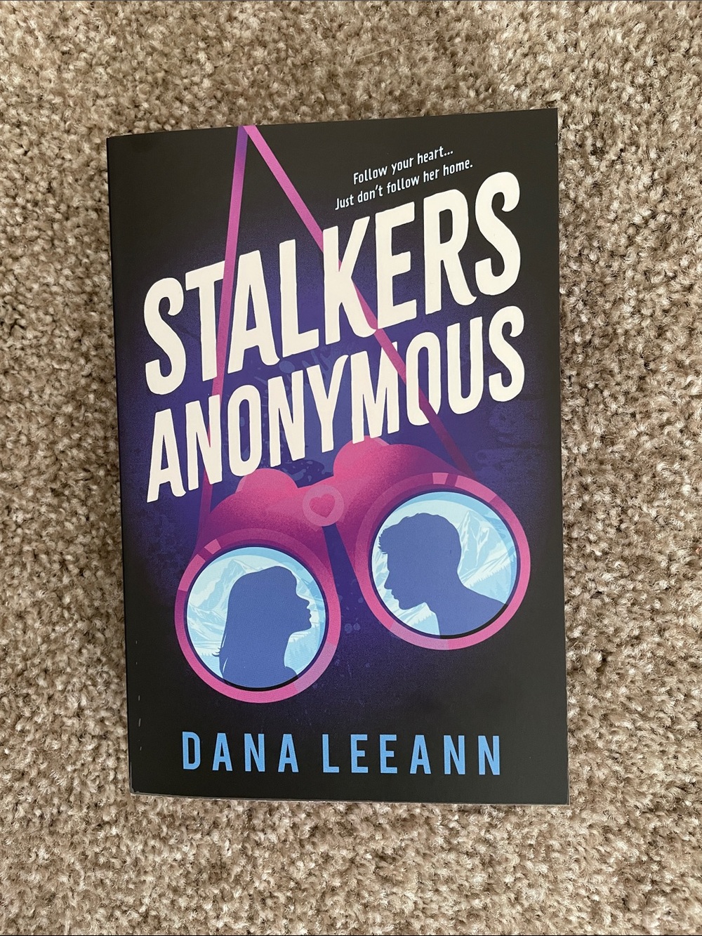 Stalkers Anonymous • Dana Leeann Paperback Book